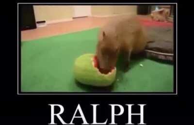 Ralph