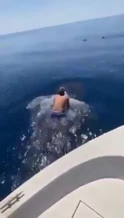 Cool guy trying to ride wild animals in the sea