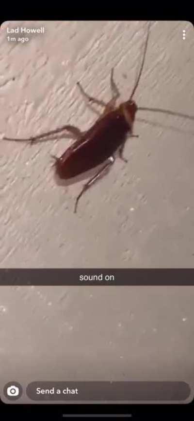 My friend found a bug :) had to screen record it