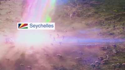 Seychelles arrives in the Red Sea