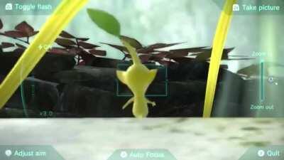 Yellow pikmin got his invisible treadmill😳