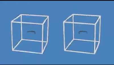 These cubes are only moving in your head