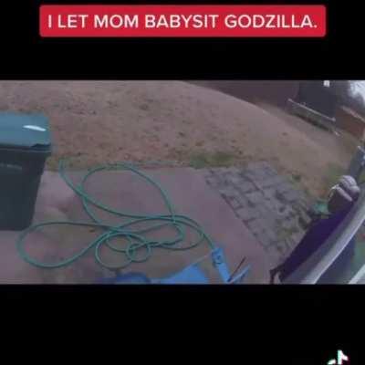 Mom babysitting pet