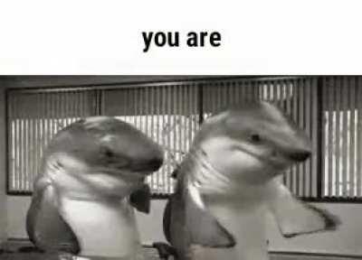 You are...