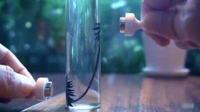 The magic of magnetic cylindrical ferrofluid