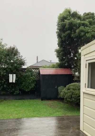 Rain in Welly, NZ