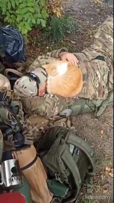 Cat sleeping on a Ukrainian soldier