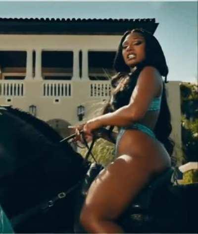 Megan thee Stallion. Thickness. Delicious. Sexy