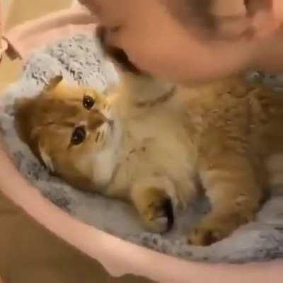 sIcK fUcK eAtInG dEfEnCeLeSs cAt aLiVe