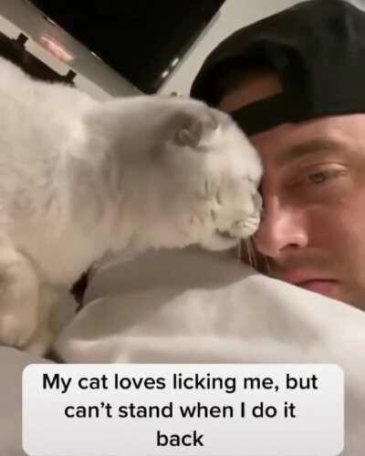 Cat scared of being licked back!