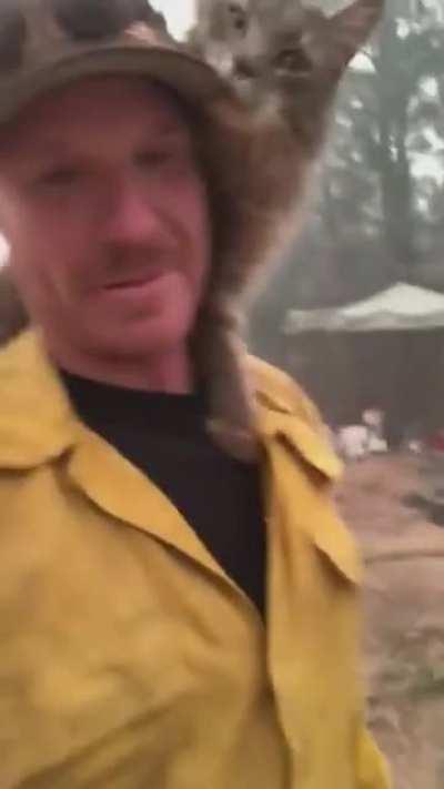 A firefighter being thanked by a very friendly cat after rescuing it from a wildfire