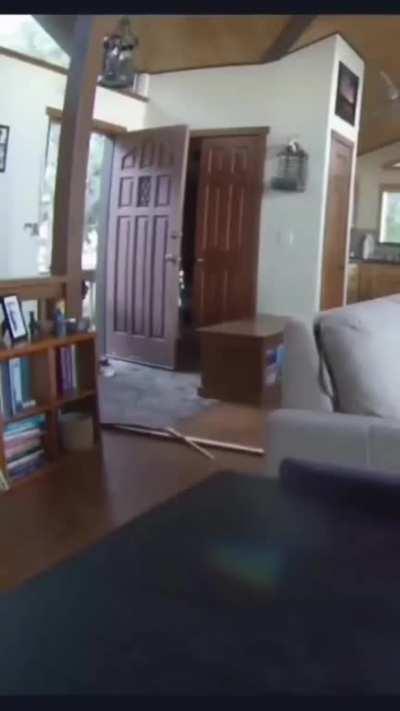 Bear Breaks into home