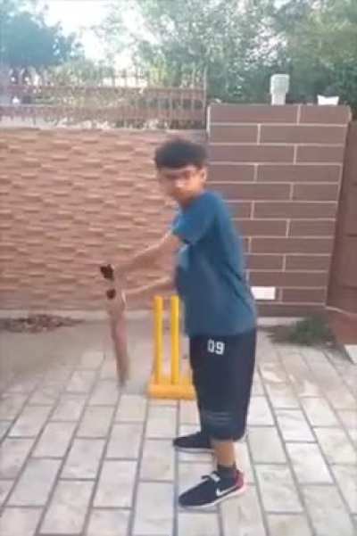 (Translation in body text) Abe tu pehle bata Naukar bol Raha hai ya Yorker? Abe ball ki jagah wicket ko ball samajhkar shot Marta hai, Aur sabse badi hairaani ki baat hai, log 2 aakho se khelte hain, aur tu helicopter shot char char aakho se maar Raha hai