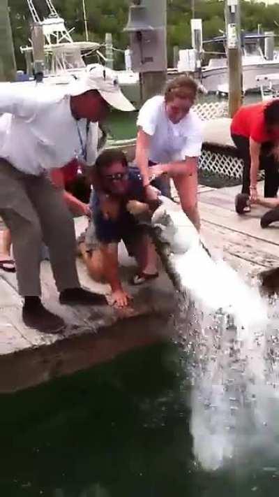 Man tries to noodle a Tarpon fish. Warning: Keep the audio muted 