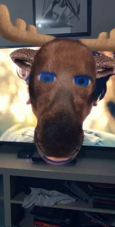 Moose filter