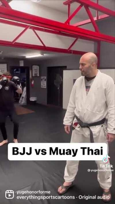 BJJ vs. Muay Thai