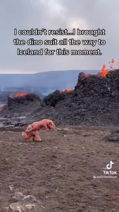 This is perfection. A perfect moment. A professional nature photographer takes his Dino suit to Iceland for the perfect picture 😂