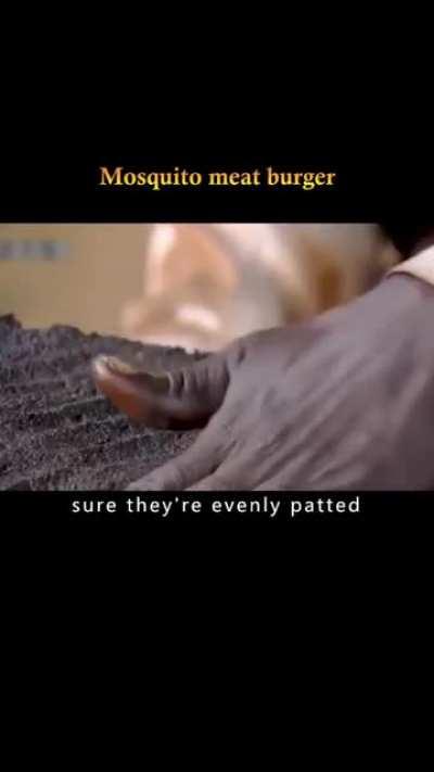 They make mosquitoes burgers in Africa