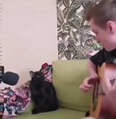 A talented singing cat