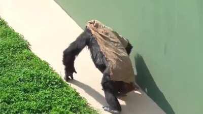 48 year old lady Nene, wearing her shawl and climbing up the hill to enjoy some time in the sweet sun