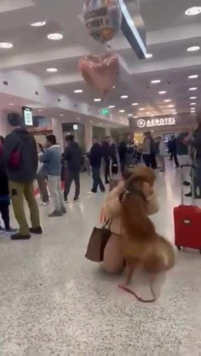 This dog seeing his owner after she returned from vacation.