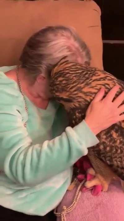 Just a woman cuddling her owl &amp;lt;3