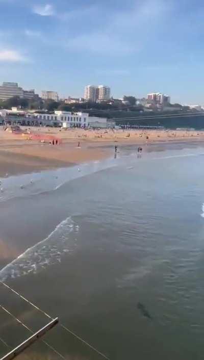 [Not My Video] Shark Spotted - Bournemouth UK (Anyone ID?)