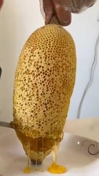 Honey extraction from the honeycombs