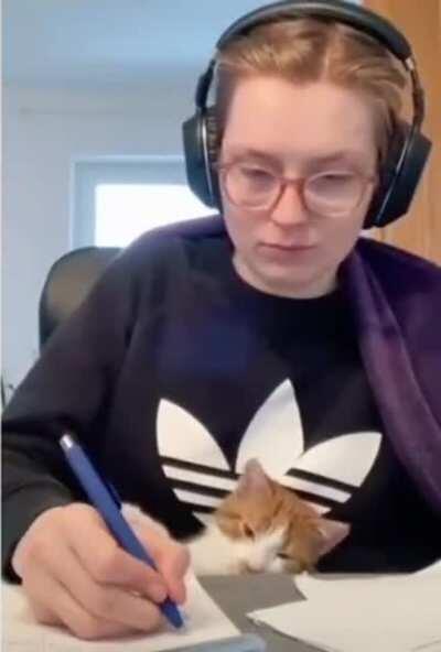 petting kitty while studying, precious moment