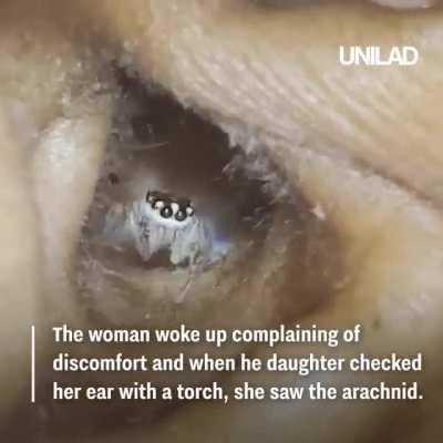 Cute spider inside women's ear