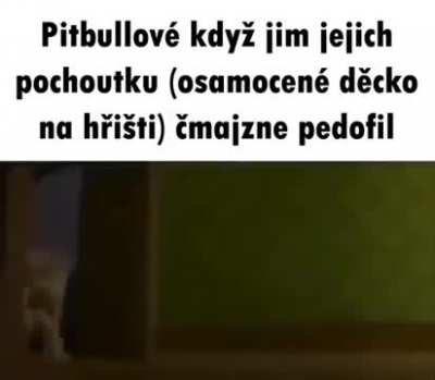 jedno dětské hřiště není pro tyto dva dostatečně velké