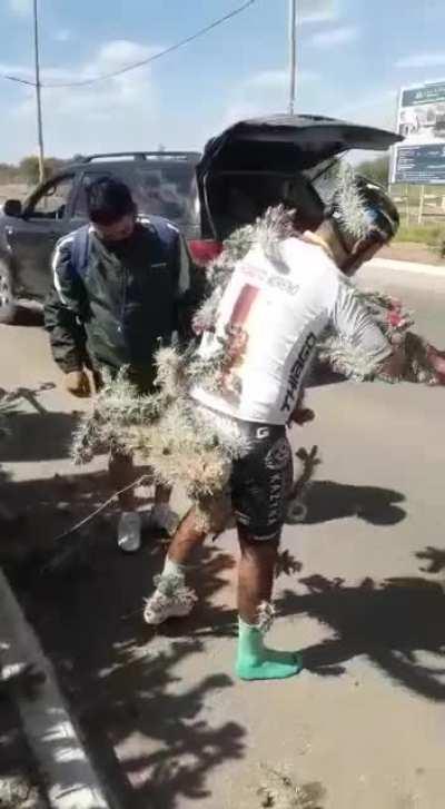 Cycling in Cacti