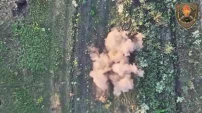 Brutal footage: 22nd Motorized Infantry Battalion of the 92nd Assault Brigade lands precise hits on Russian positions and soldiers with drone dropped grenades and FPV kamikaze drones. NSFW! Viewers discretion advised.