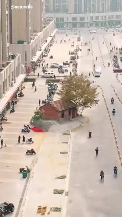 The owner of this house in China refused to move for development, so a road was built around it. These are know as 'nail houses'