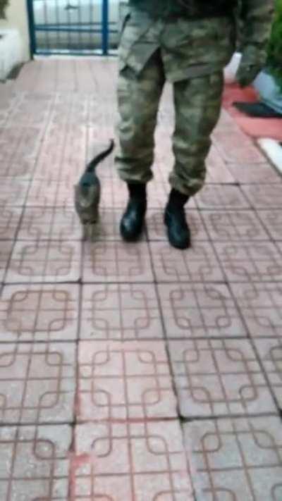 This kitten born and raised on a Turkish military base ‘marches’ with the soldiers!