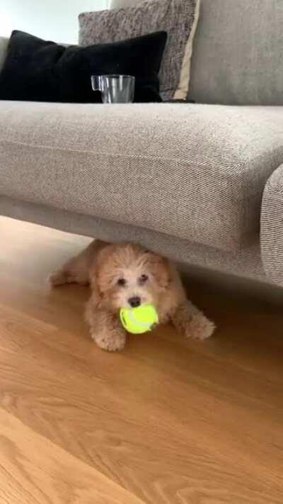 She loves sliding across the floor