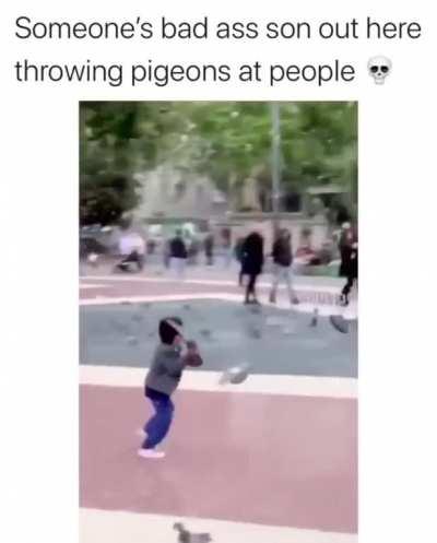 Pigeus, the relentless.