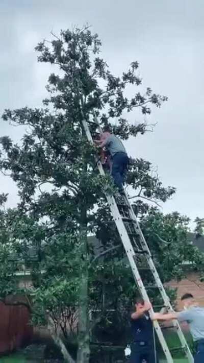 Hugging their kid after the fire department brings them down from the tree