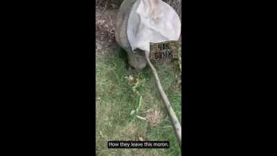 A Ukrainian soldier came across a dead Russian soldier tied to a tree in the Zaporizhzhia region. Russian soldiers were punished in this way, although their means of punishment are brutal.