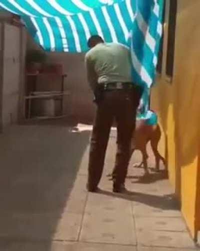 To protect and serve