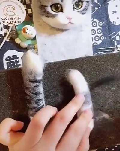 Making a cat