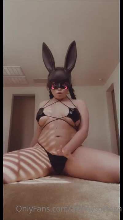 Bad Bunny first part. Click “redgifs” above for vid with sound