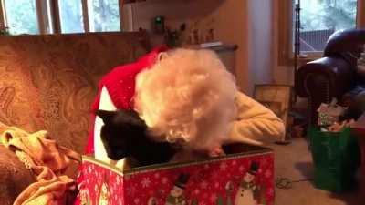 Grandma gets a pretty, dark present.