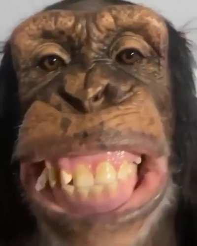 OO A JUST LEFT THE MONKY DENTIST WHAT DO YOU THINK OF MY TEETH