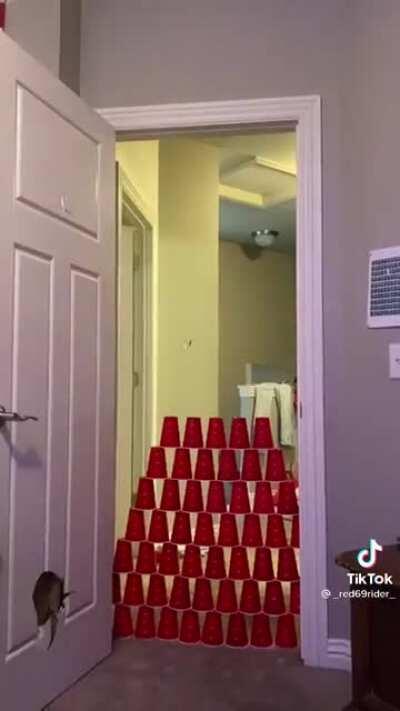 HMFT after I jump these cups