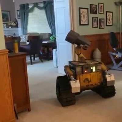 This real life Wall-E