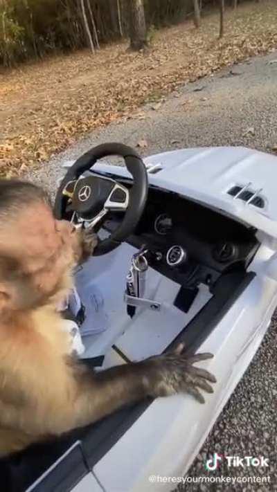 Monke learn to drive