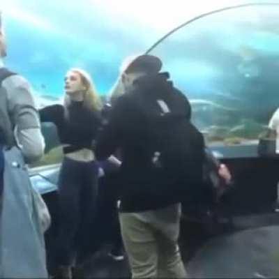 A great time at the aquarium