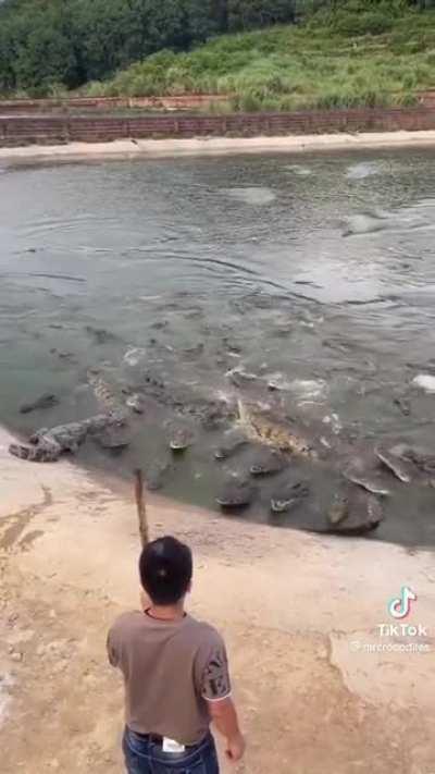 The other croc was like nah man, I need that human meat