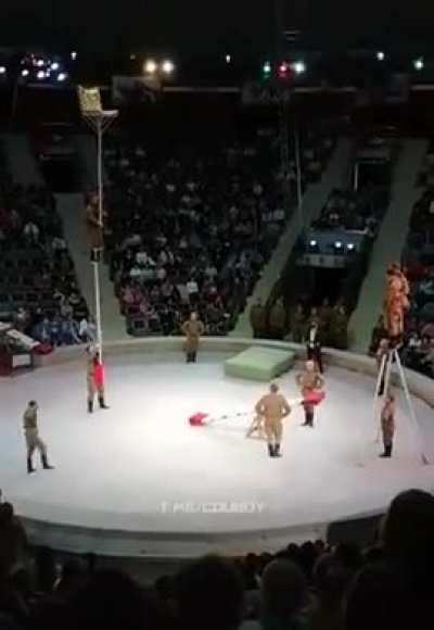 A difficult circus trick preformed flawlessly 